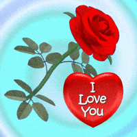 Red Love Gifs Get The Best Gif On Giphy Red Love Gifs Get The Best Gif On Giphy