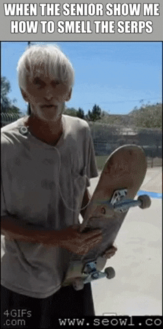 SEOwl GIF