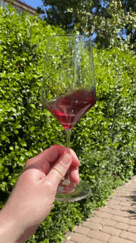 Napa Valley Wine Glass GIF