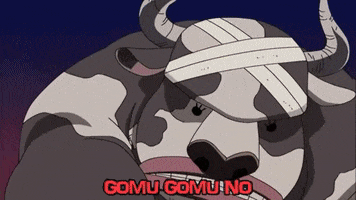 One Piece GIF