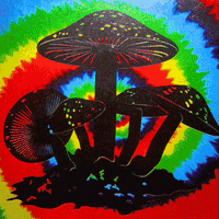 am i hallucinating acid trip GIF