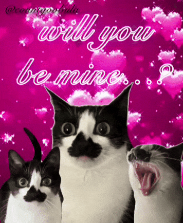 I Love You Valentine GIF