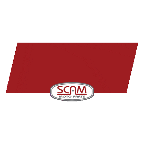 Scam Moto Parts Sticker