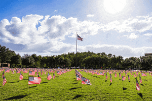 American Flag Usa GIF by University of Central Florida