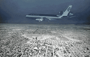 Air New Zealand Aeroplane GIF by GIF IT UP