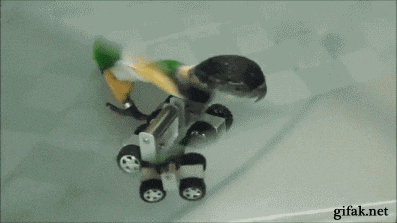 giphy.gif