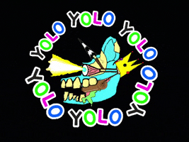 You Only Live Once Yolo GIF