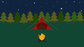 campquarantine camping campfire marshmallow tent GIF
