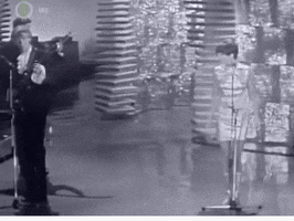Zalatnaysarolta GIF