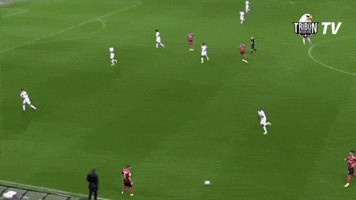 GIF by Tribun Besiktas