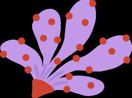 artemakena flower artemakena floral GIF