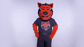 Red Wolves Asu GIF by Arkansas State University