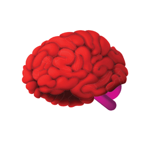 Mq Sticker by Macquarie University