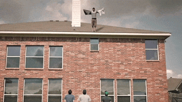 Jump Falling GIF by Film Riot