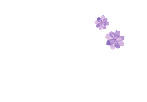 Bomdia Sticker by ARCloset