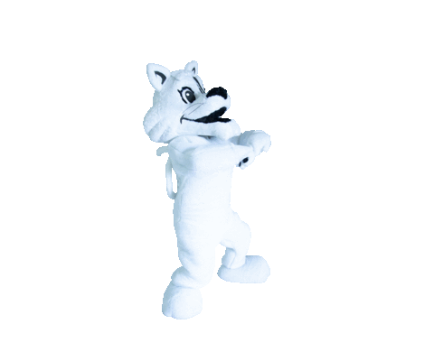 Tico Sticker by Ticomia Formaturas for iOS & Android | GIPHY