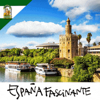 Spain Sevilla GIF by España Fascinante