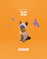 200.gif?cid=fc005b08b1f9c63ea2395d8ab90ec39b8b26a2642bfe7260&rid=200.gif&ct=g