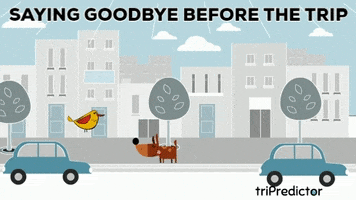 Take Care Goodbye GIF by tripredictor