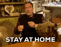 Arnold Schwarzenegger Stay At Home GIF