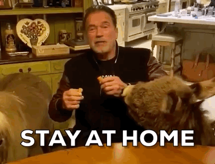 Arnold Schwarzenegger Stay At Home GIF by GIPHY News - Find ...