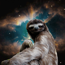 sloth in space gif