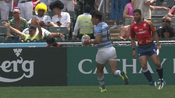 sport wow GIF by World Rugby