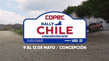 Chile Rally GIF by Kinderlab