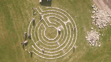 Campus Circles GIF by Middlebury