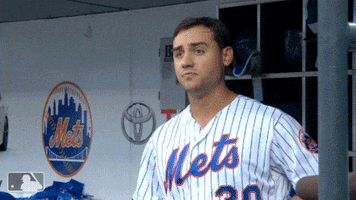 yell ny mets GIF by New York Mets