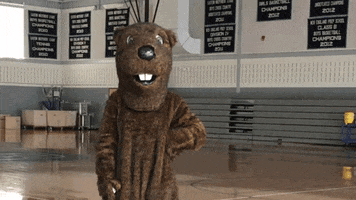 softball beaver GIF by Welcome to the BVR Dam