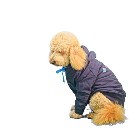 Pets Best Sticker