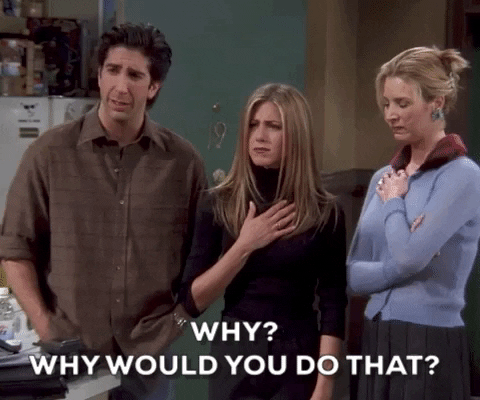 Why Would You Do That Season 5 GIF by Friends