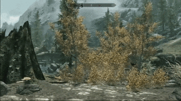 Skyrim GIF