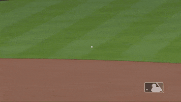 200.gif?cid=fc005b08c6521cf7e735b0cb52778ed776c6ddfc080a4457&rid=200.gif&ct=g