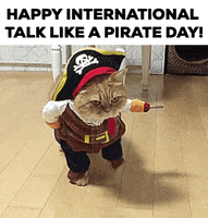 International Talk Like A Pirate Day GIF by swerk