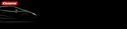 Carrera Toys GIF