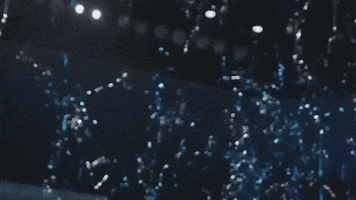 University of New Orleans GIF