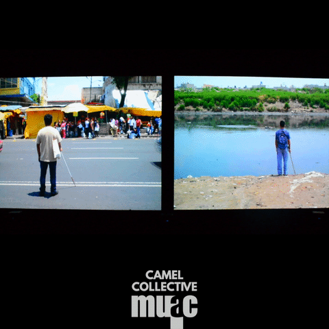 diegofigueroa-31a3  GIF