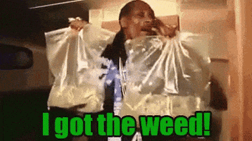 Weed Gifs Get The Best Gif On Giphy