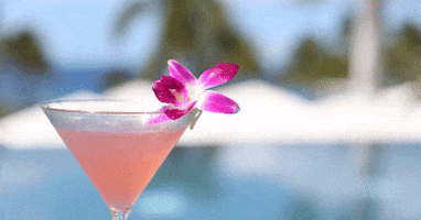 Cocktail GIF by Eloise Eaton