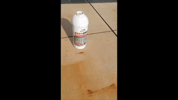 Garden GIF