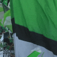 Fans Ultra GIF by AS Saint-Étienne