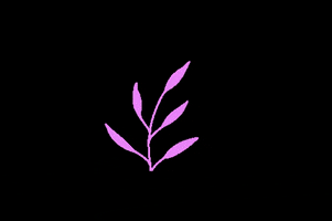 Aesthetic GIF