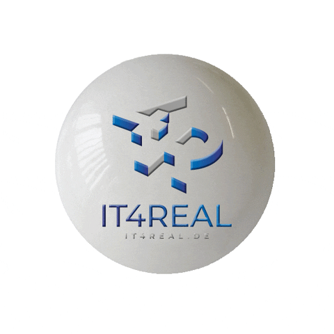IT4REAL GIF