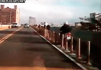 dumb fun GIF