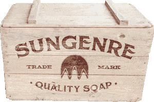 Soap Box Speech GIF by Sungenre