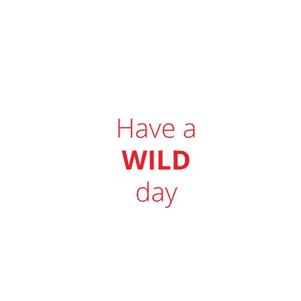 Wilde & Partner Communications Sticker