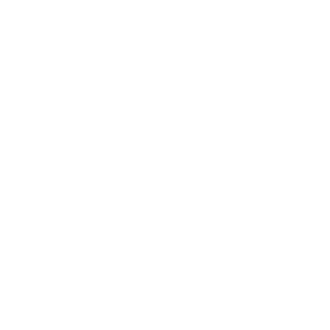 Brooklyn Academy Of Music Sticker by BAM