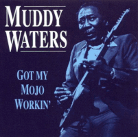 chicago blues GIF by Muddy Waters